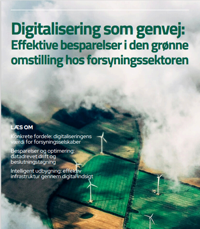 Forside Impact Report Cdk