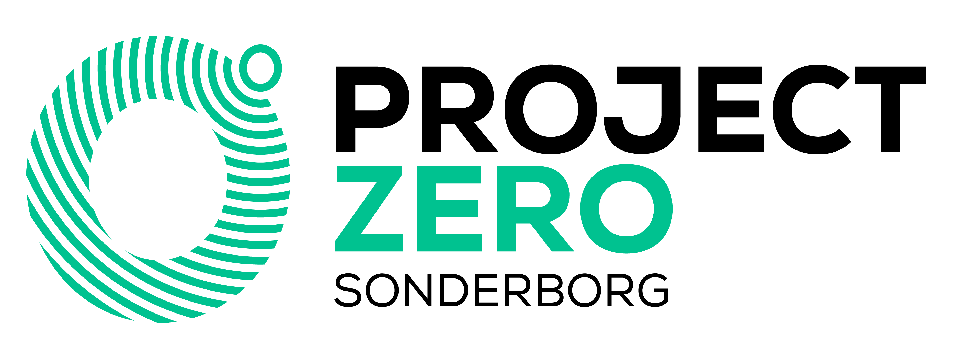 Project Zero